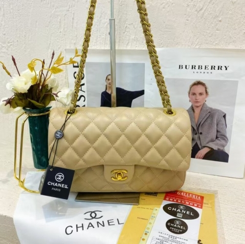 Chane*l Handbags-240213-BX5634