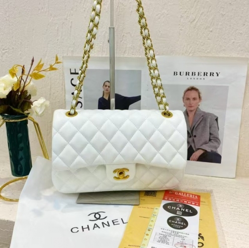 Chane*l Handbags-240213-BX5639