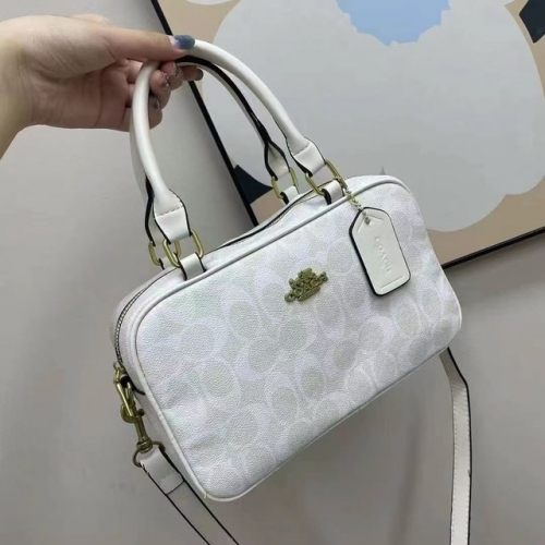 Coac*h Handbags-240213-BX5679