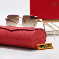 Brand Sunglasses-EZ2965