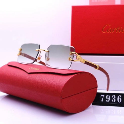 Brand Sunglasses-EZ3060