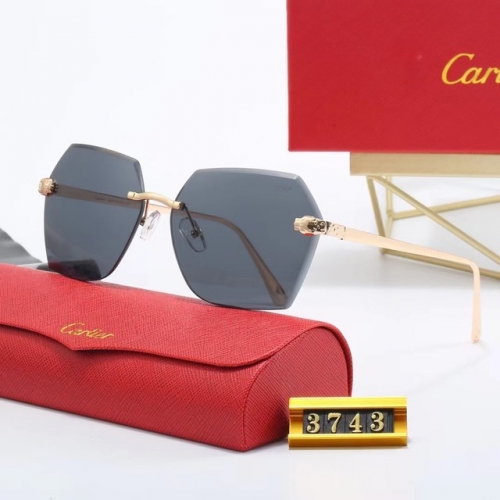 Brand Sunglasses-EZ3223