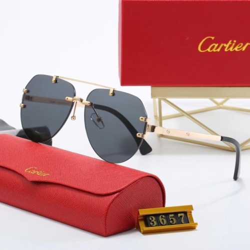 Brand Sunglasses-EZ2928