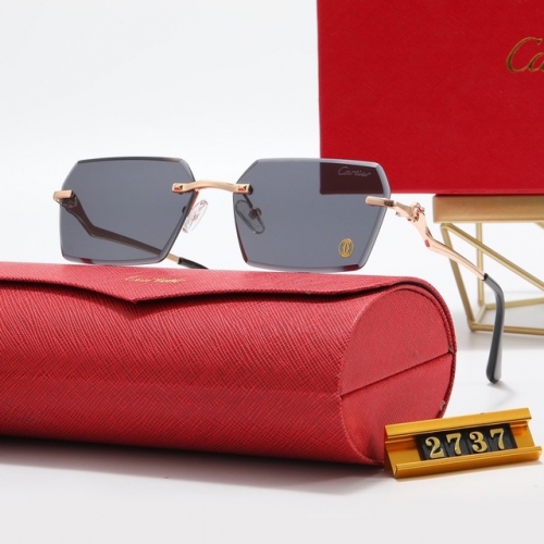 Brand Sunglasses-EZ2825