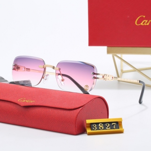 Brand Sunglasses-EZ3424