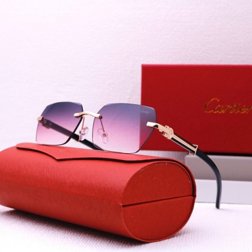 Brand Sunglasses-EZ3298