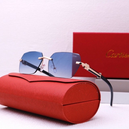 Brand Sunglasses-EZ3280