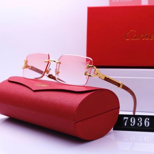 Brand Sunglasses-EZ2949