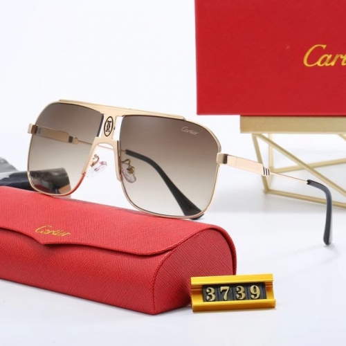 Brand Sunglasses-EZ3367