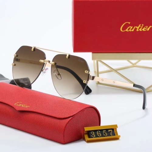 Brand Sunglasses-EZ3359