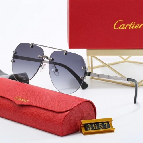 Brand Sunglasses-EZ3283