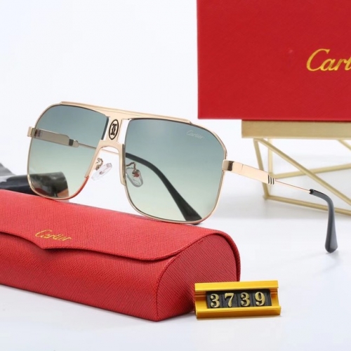 Brand Sunglasses-EZ3012