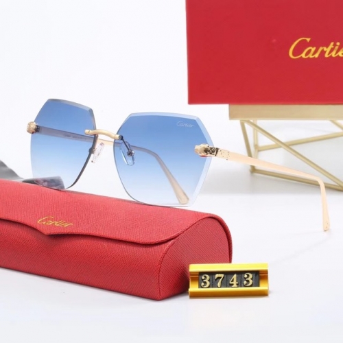 Brand Sunglasses-EZ3178