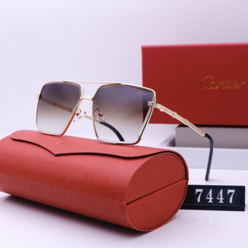 Brand Sunglasses-EZ3204