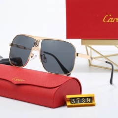 Brand Sunglasses-EZ2855