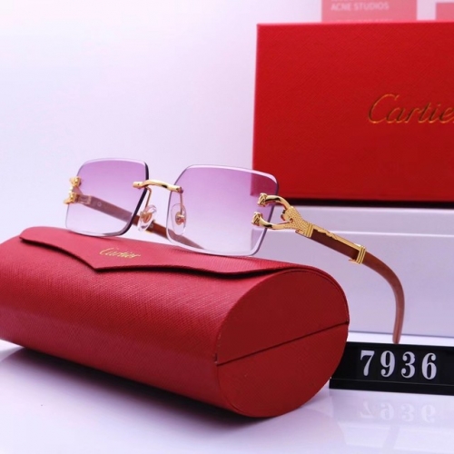 Brand Sunglasses-EZ2970