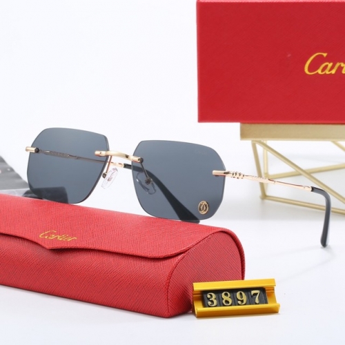 Brand Sunglasses-EZ3495