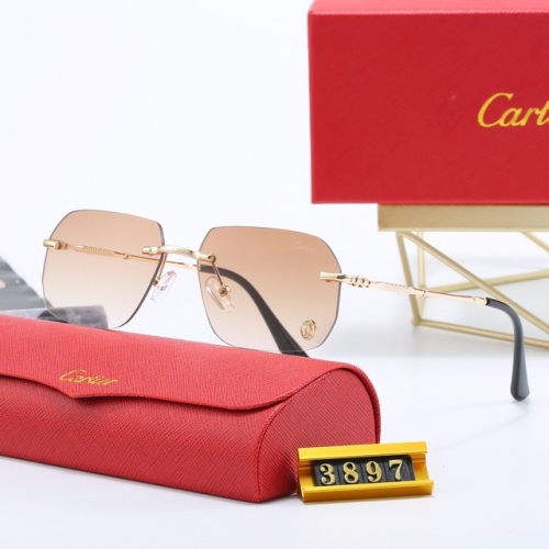 Brand Sunglasses-EZ3096