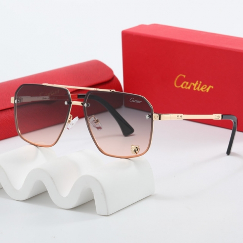 Brand Sunglasses-EZ3103