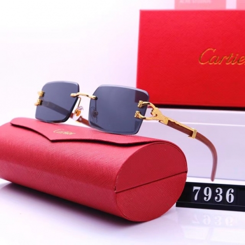 Brand Sunglasses-EZ2926