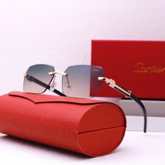 Brand Sunglasses-EZ3487