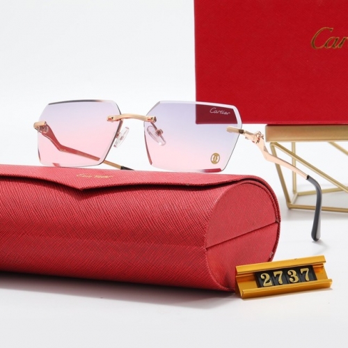 Brand Sunglasses-EZ2891