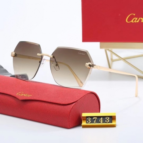 Brand Sunglasses-EZ3438