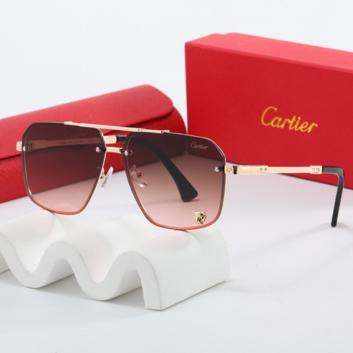 Brand Sunglasses-EZ3067