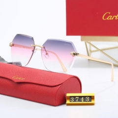 Brand Sunglasses-EZ3269