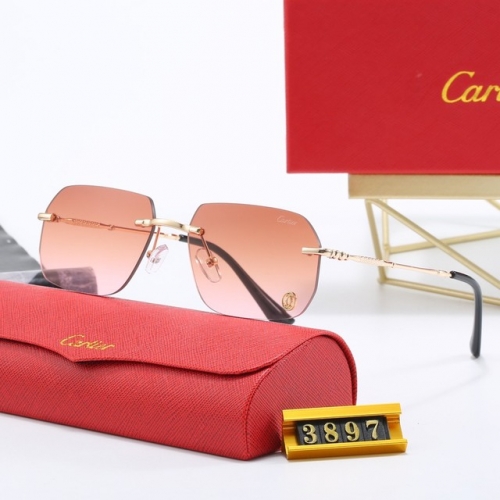 Brand Sunglasses-EZ2963