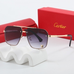 Brand Sunglasses-EZ3528