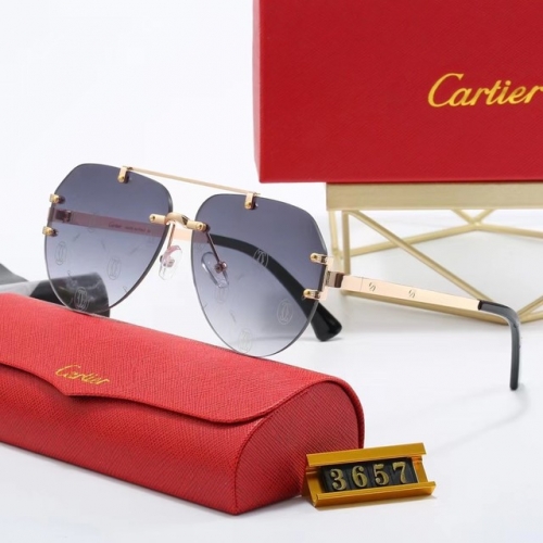 Brand Sunglasses-EZ3045