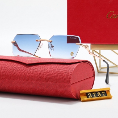 Brand Sunglasses-EZ3038