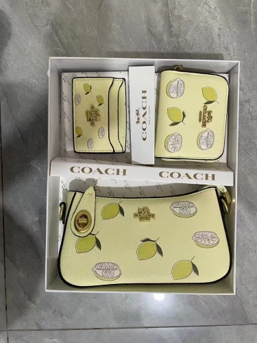 Coac*h Handbags-250627-BX9244-2