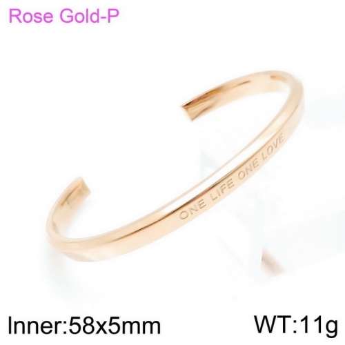 Stainless steel bangle KB140220-K-21