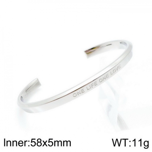 Stainless steel bangle KB140222-K-17