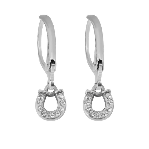 Stainless steel Earring P201110-PE003