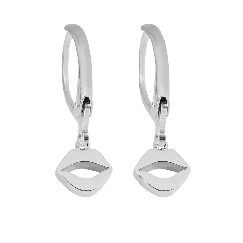 Stainless steel Earring P201110-PE053