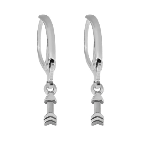 Stainless steel Earring P201110-PE005