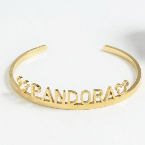 Stainless Steel Pandor*a Bangle SN201022-PDB0153-G