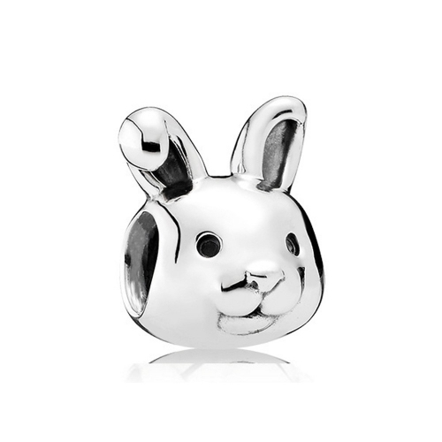 Stainless Steel Pandor*a Charm PD0022