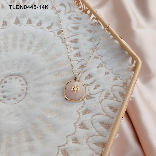 Stainless Steel Necklace TLDN0445-14K