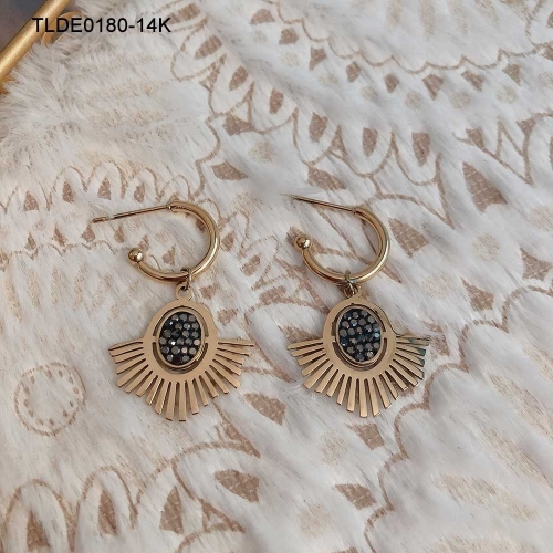 Stainless Steel Earring TLDE0180-14K