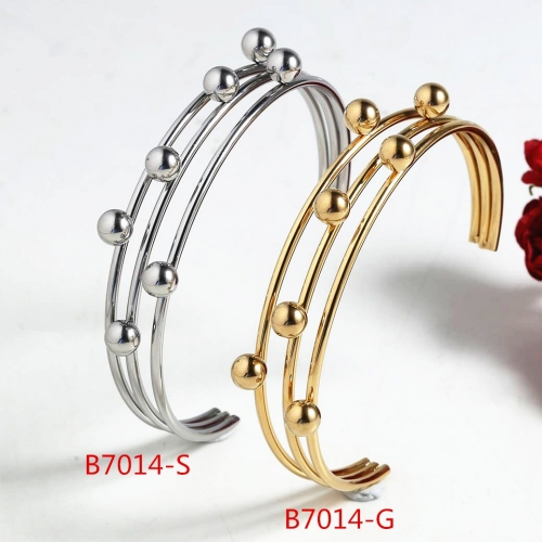 Stainless Steel Bangle B7014-S