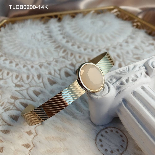 Stainless Steel Bangle TLDB0200-14K