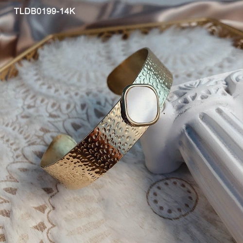 Stainless Steel Bangle TLDB0199-14K