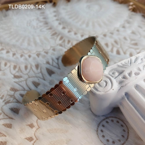 Stainless Steel Bangle TLDB0209-14K