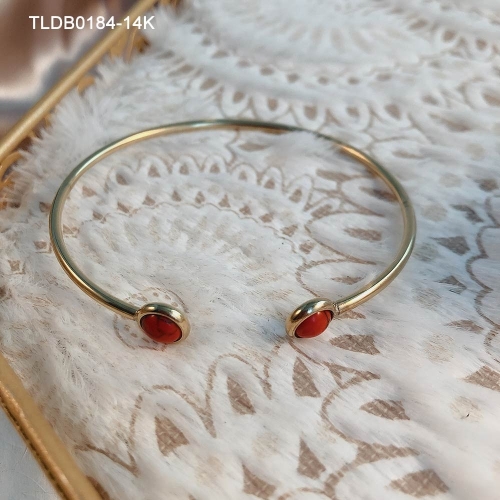 Stainless Steel Bangle TLDB0184-14K