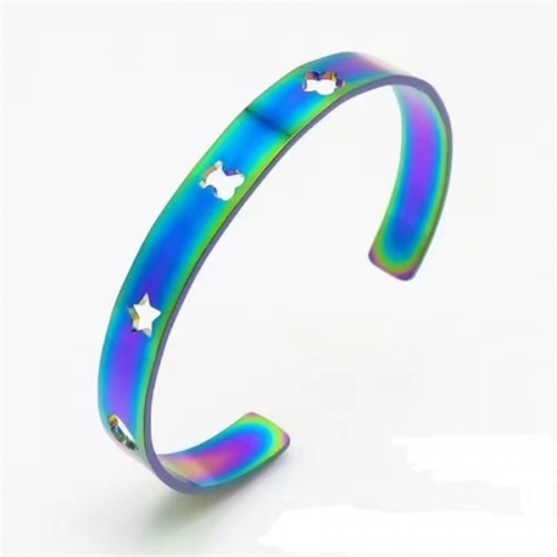 Stainless Steel Tou*s Bangle TOB008-C