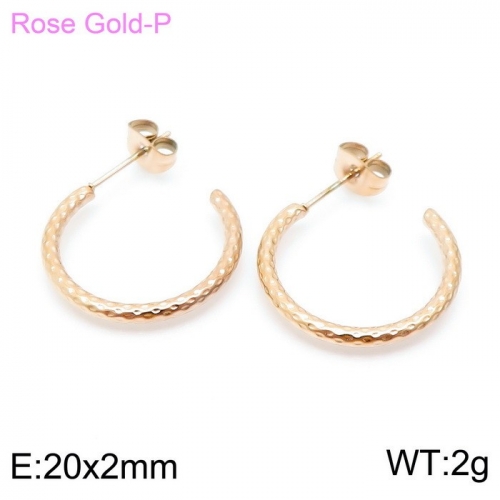 Stainless Steel Earring KE98648-6